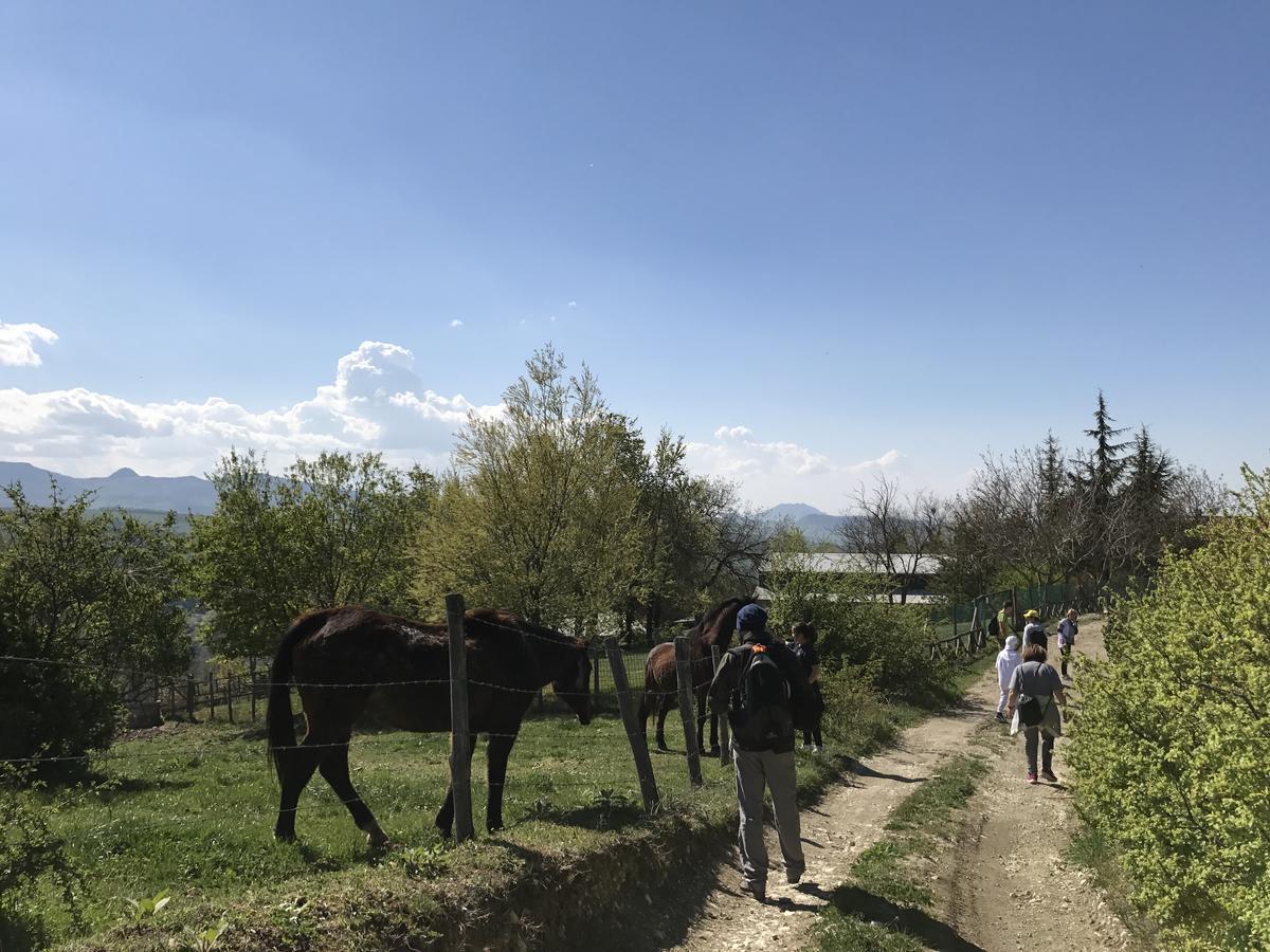 B&B Il Sentiero Dei Goti Monte Grimano Terme Eksteriør bilde